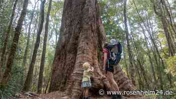 „Verliebt in die Welt“ - Bloggerin aus Kolbermoor gibt Urlaubstipps für Familien