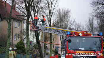 Sturm in Dresden: Feuerwehr ist im Einsatz - Sächsische.de