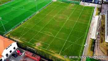 Dynamo Dresden taktiert im Kampf um Punkte mit Linien - Sportbuzzer