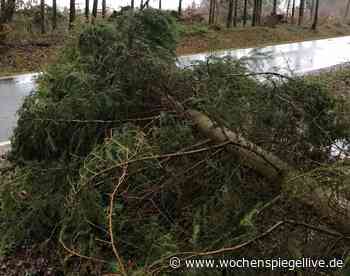 Rund 20 Einsätze durch Sturmtief Ylenia - Euskirchen - WochenSpiegel