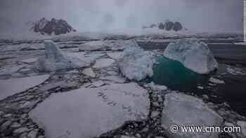 Antarctica will likely set an alarming new record this year, new data shows