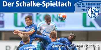 Personal, Form, Ausgangslage: Infos zum Schalker Spiel gegen Paderborn - Ruhr Nachrichten