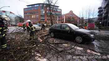 Liveticker zum Sturm: Bahn stellt Fernverkehr im Norden ein - zwei Tote in Amsterdam