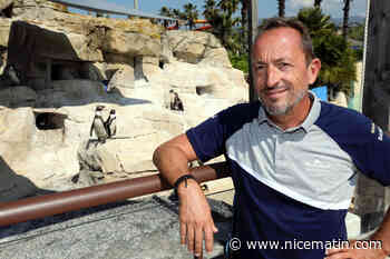 "Non, nous ne sommes pas inquiets": le patron du parc Marineland d’Antibes s’exprime sur son avenir