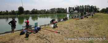 Monza, gara di solidarietà per il parco della Boscherona dopo il nuovo incendio - Il Cittadino di Monza e Brianza