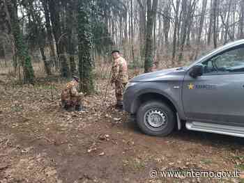 Monza e Brianza, completato in sicurezza il brillamento di un ordigno bellico - Ministero dell'Interno