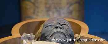 [BALADO] Chercher des poux pour faire parler les momies