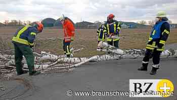 Freitagabend B188 und B4 gesperrt, Stromausfall in Westerbeck