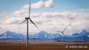 Landowners lose battle over southern Alberta wind farm but still consider it a win