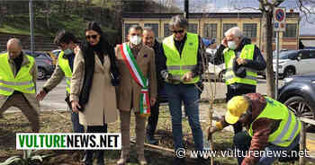 Melfi dà radici alla speranza piantando un melograno! Ecco l'iniziativa - vulturenews.net