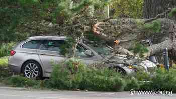 At least 8 dead as major storm smashes through northern Europe