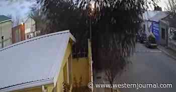 Massive Birdfall Caught on Camera, Leaves Mexican Street Littered with US-Nesting Blackbirds