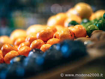 Aumentano i posteggi nei mercati agricoli di Modena - Modena 2000