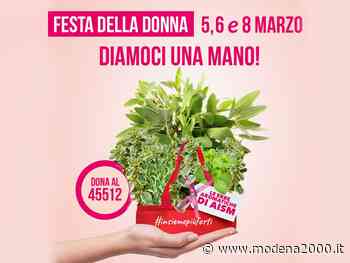 Le Erbe Aromatiche di AISM, prenotazione entro il 21 febbraio - Modena 2000