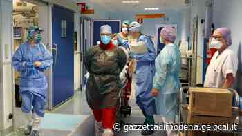 Modena, caso del “sangue no vax” al bimbo, il giudice: «No alla donazione “dedicata”» - Gazzetta di Modena