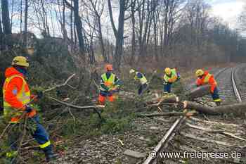 Reichenbacher THW macht Bahnlinie frei - Freie Presse
