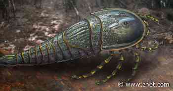 'Massive Monster' Sea Scorpion Revealed Through Fossil Discovery     - CNET