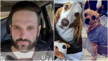 Calgary father who killed 2 dogs in violent attacks gets 3 years in jail