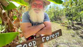 Local produce 'food trail' hopes to entice gourmet-loving tourists to Capricorn coast - ABC News