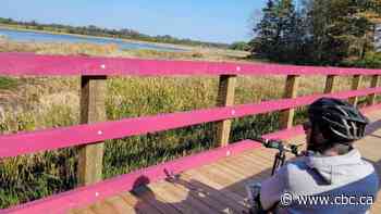 Confederation Trail now more accessible thanks to this P.E.I. man - CBC.ca