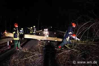 Orkantief "Zeynep": Zwei Autofahrer im Kreis Steinfurt gestorben