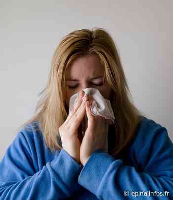 L'épidémie de grippe touche les Vosges - Epinal infos - Epinal Infos