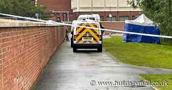 Distraught husband stayed with wife's dead body for three days - Hull Live