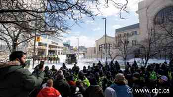 Protesters assault officers during operation to end Ottawa occupation, police say