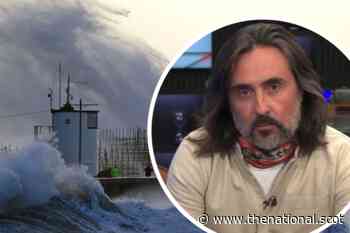 'Fragile' Neil Oliver mocked after bizarre comments on 'giving in' to Storm Eunice - The National