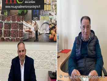 Sestu, bollette choc al mercato ortofrutticolo: "Luce da 40 a 300 euro, così chiudiamo" - Casteddu Online