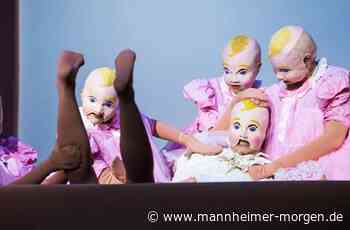 Heidelberger Stückemarkt stellt sein Programm für Mai vor - Heidelberg - Nachrichten und Informationen - Mannheimer Morgen