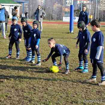 Saronno rugby “fa squadra” con le Zebre rugby di Parma - ilSaronno