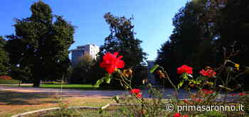 Liuc sempre più green: arriva il semestre della sostenibilità - Prima Saronno