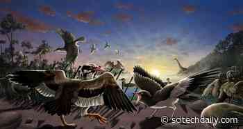 “Amazing” New Fossil Birds – From the Time of Dinosaurs – Discovered Near China’s Great Wall