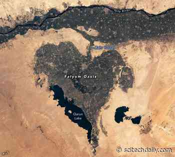 Heart-Shaped Oasis in Egypt Has Supported Human Life for More Than 8,000 Years