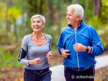 Brain Benefits: Exercise Can Help Older Adults Retain Their Memories