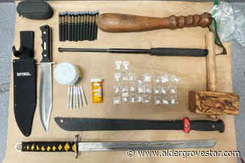 Sword, clubs, fake IDs, bear bangers found in Langley traffic stops – Aldergrove Star - Aldergrove Star