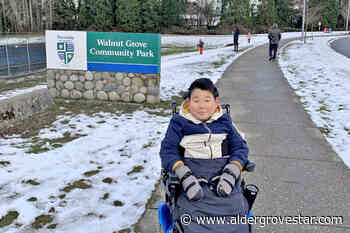 An 'outgoing' Langley kid with a talent for origami will be featured on the Variety Show of Hearts telethon – Aldergrove Star - Aldergrove Star