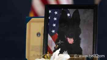 Kaso’s K-9 memorial on Scott Air Force Base: From strangers to family - Belleville News-Democrat