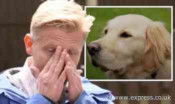 'Wouldn't be here without him' Dr Scott in tears as dog owner details how Milo 'saved' him - Express