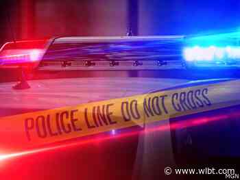 Couple and their dogs shot at Scott Co. home; Police searching for suspect in gray vehicle - WLBT