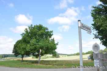 20 Megawatt Heizleistung im Sommer: BUND Bretten kritisiert geplanten Bau der Südwest-Umgehung - Bretten - kraichgau.news