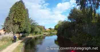 Cyclist falls in Coventry Canal after dodging fallen tree - Coventry Live