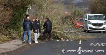 Hour-by-hour forecast as Storm Eunice hits Essex - Essex Live