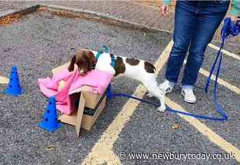 Doggy detectives - Newbury Today