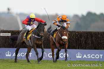 Un Grado 1 di grande lignaggio con l'occhio verso Cheltenham - SNAI Sportnews