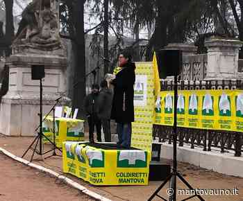 Caro-energia, Forattini (Pd): "Servono politiche strutturali in grado di dare risposte durature" - Mantovauno.it