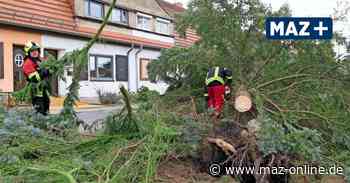 Sturm in Teltow-Fläming: Diverse Einsätze der Feuerwehr in Luckenwalde und Jüterbog - Märkische Allgemeine Zeitung