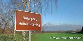 Luckenwalde, Königs Wusterhausen: Veranstaltungen am Wochenende - Märkische Allgemeine Zeitung