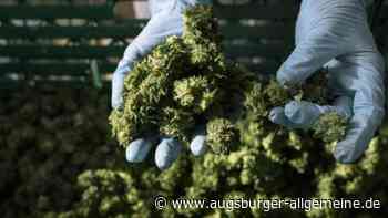 Grenzpolizei findet Cannabisplantage in Senden - Augsburger Allgemeine